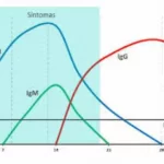 grafico igg igm