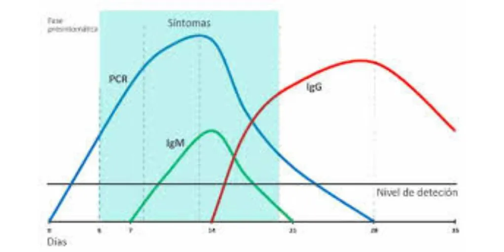 grafico igg igm