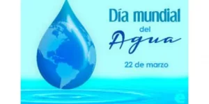 p dia mundial del agua 1