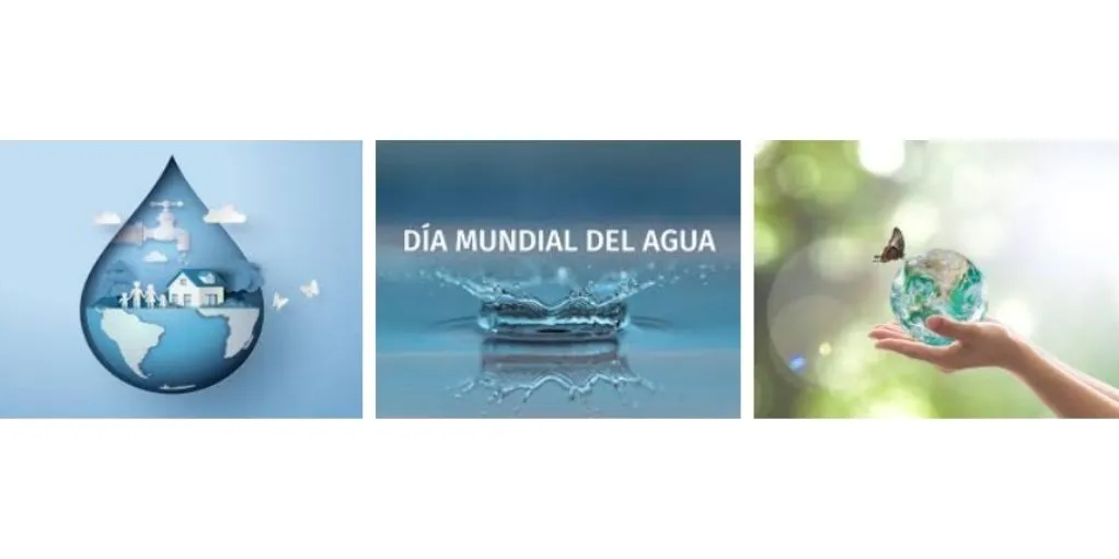 dia mundial del agua